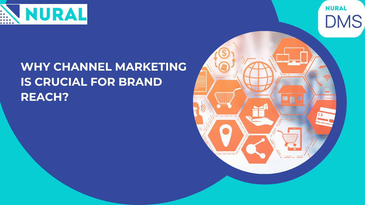 Boost Reach with Smart DMS Partner Tools