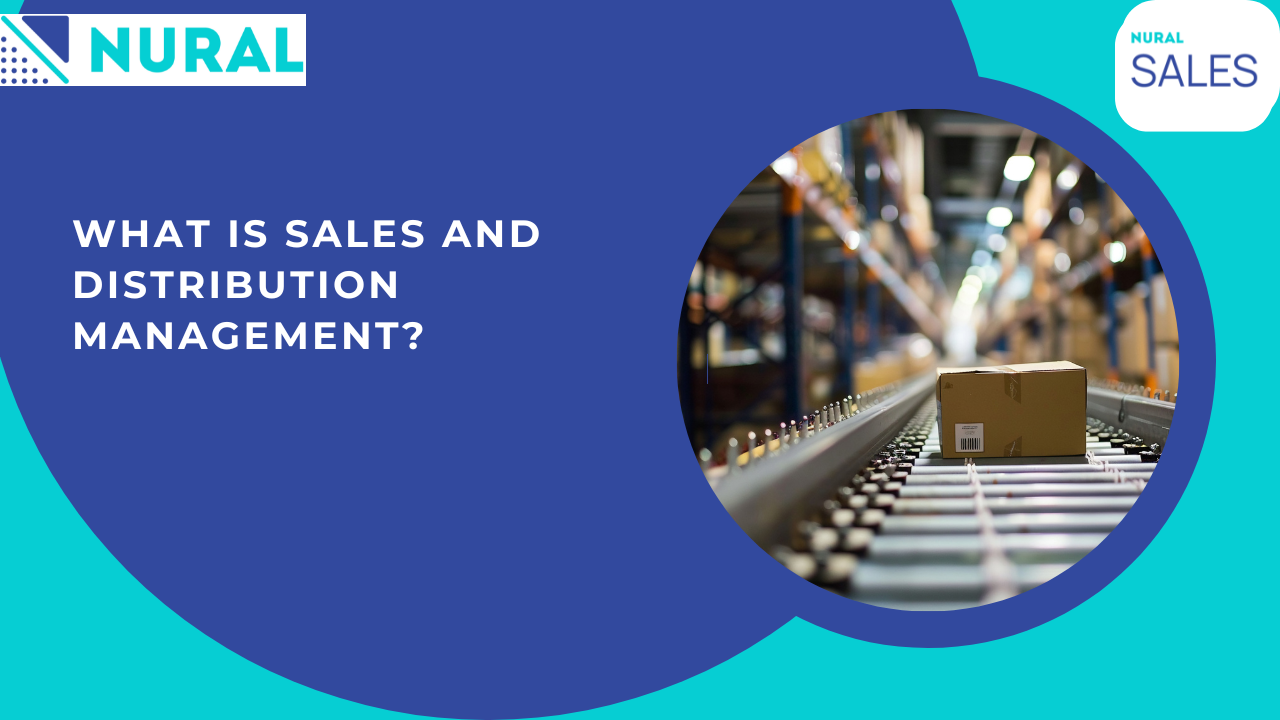 What Is Sales and Distribution Management?